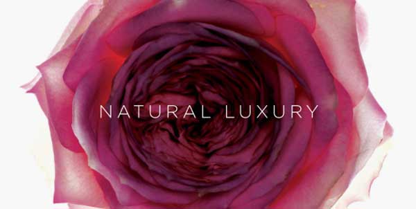 Luxury Essential Rose Facial
