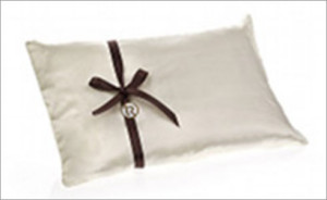 The Treatment Rooms Silk Travel Pillow